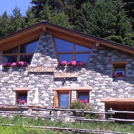 Agriturismo Valsaviore Cevo Екстер'єр фото