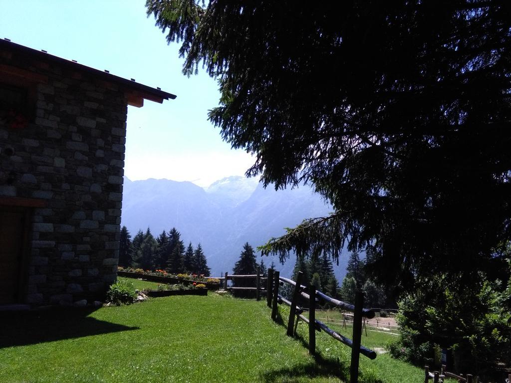 Agriturismo Valsaviore Cevo Екстер'єр фото