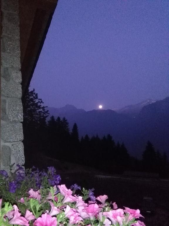 Agriturismo Valsaviore Cevo Екстер'єр фото
